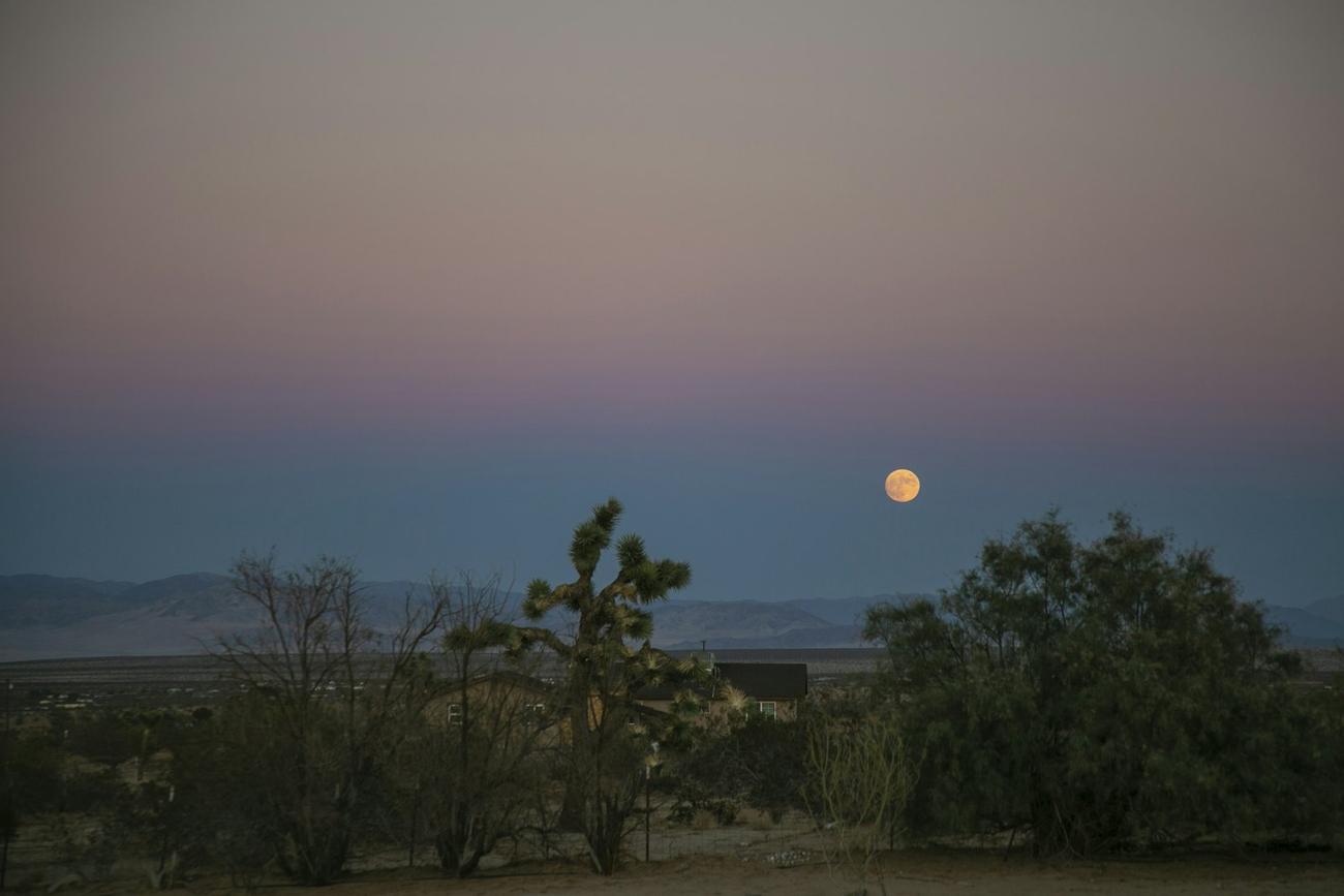 A full moon rising over desert scrub